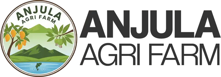 anjula-1.webp